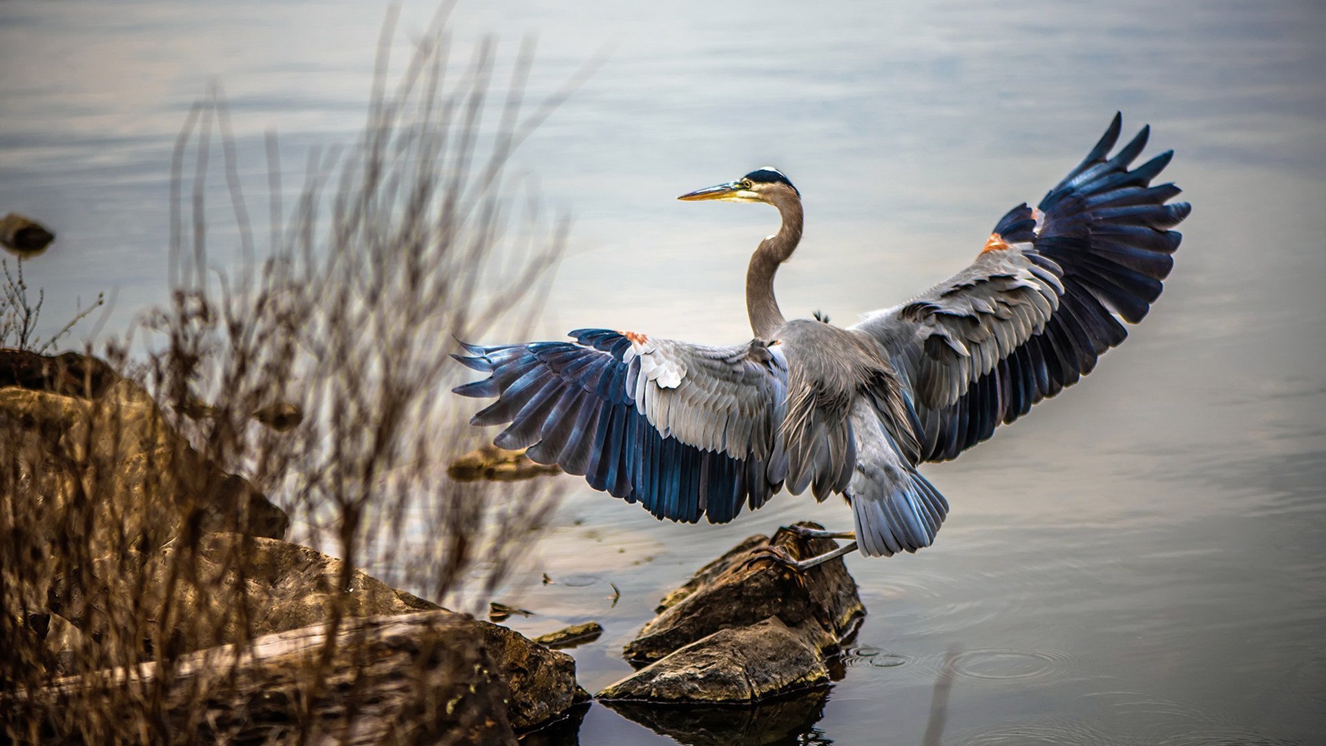 Kering-《AI驱动的战术分析：新思路助力职业战队》，ai芯片驱动