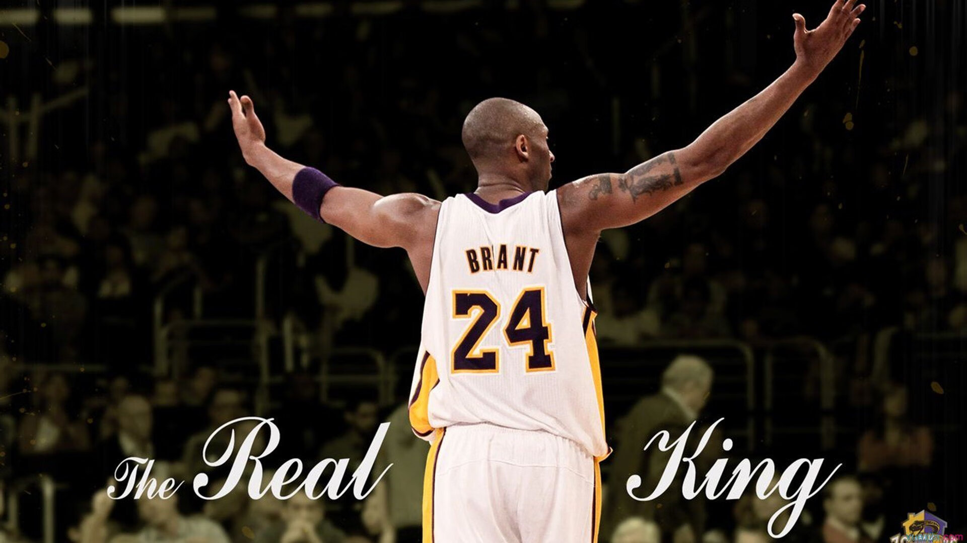 开云 官网 入口-凯琳·科贝特赛场表现引发媒体热议，凯特琳菲贝尔和科比